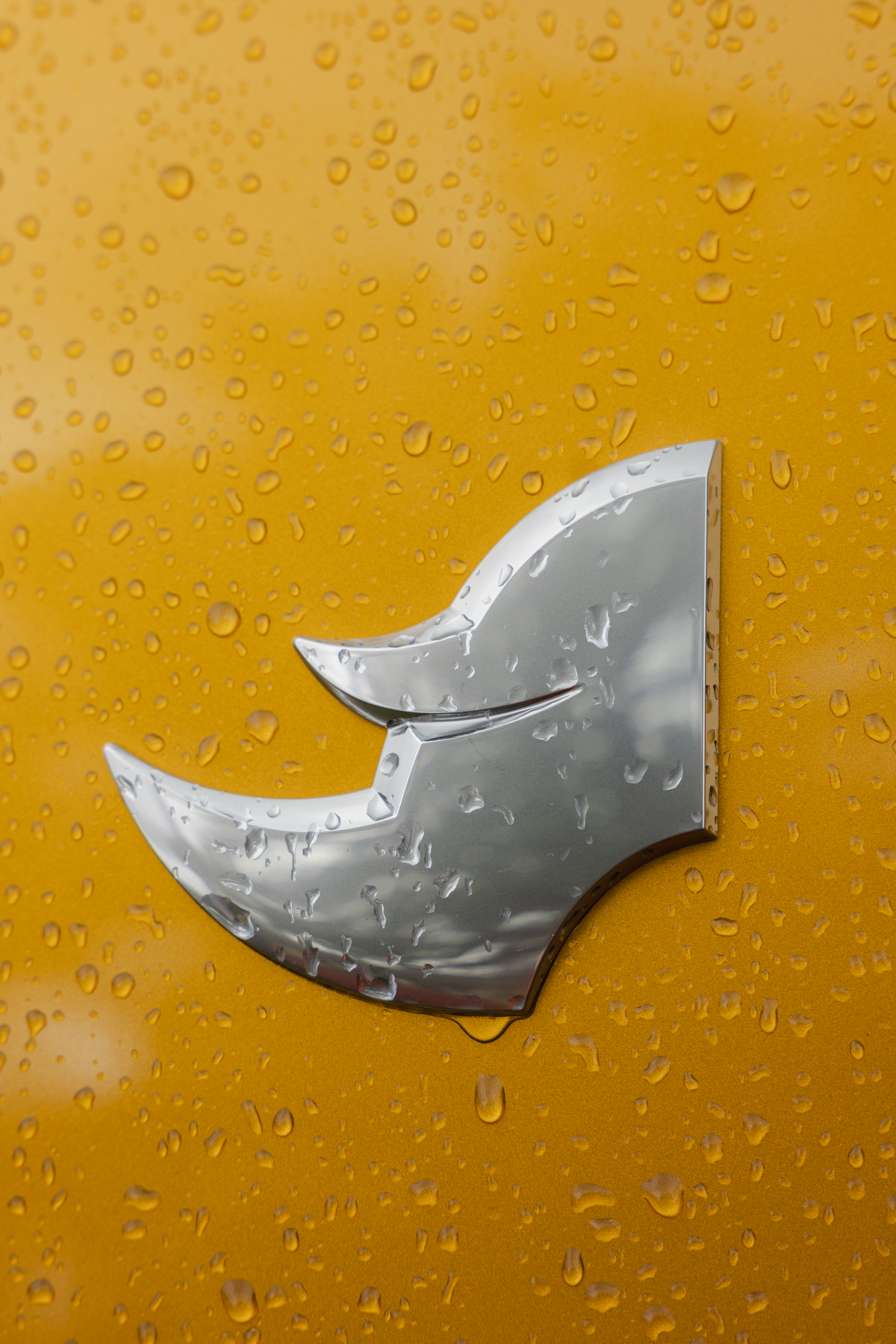 Kgmmussoevinthelakes 62